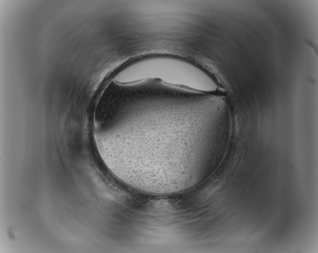 X0000099480588200805231857