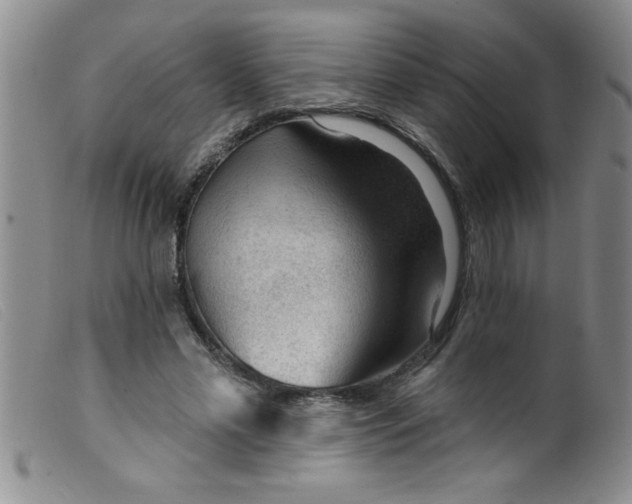 X0000099480589200805231857