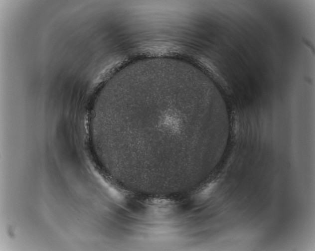X0000099480590200805231857