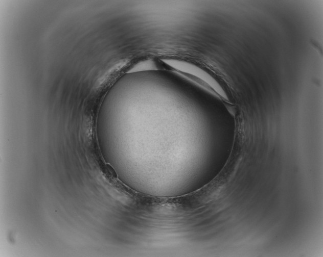 X0000099480593200805231857