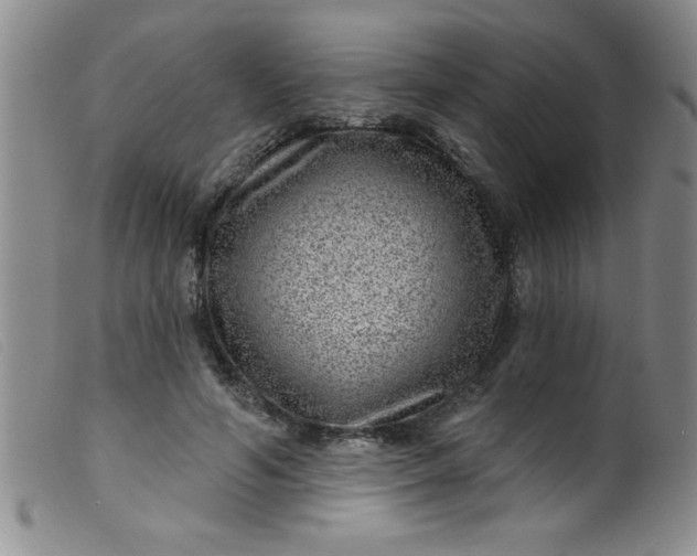 X0000099480594200805231857
