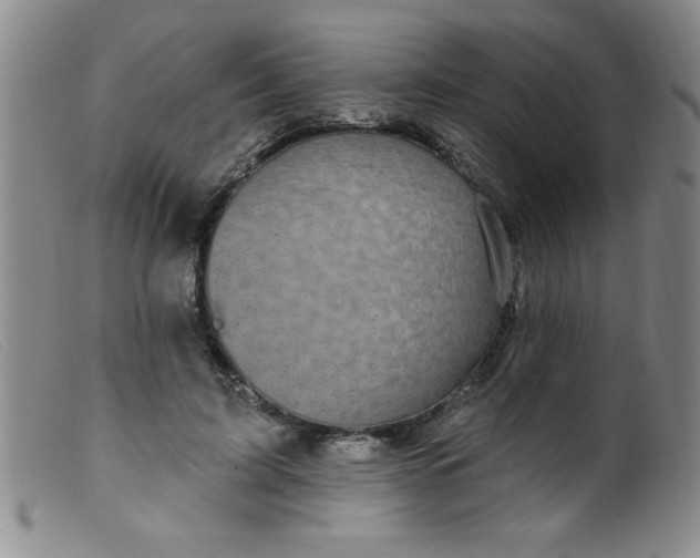 X0000099480595200805231857