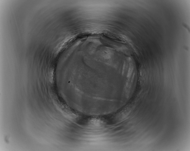 X0000099480596200805231857