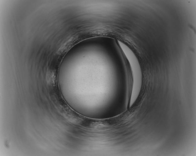 X0000099480597200805231857