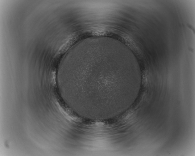 X0000099480598200805231857