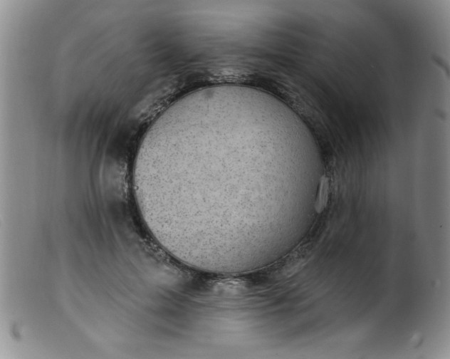 X0000099480599200805231857