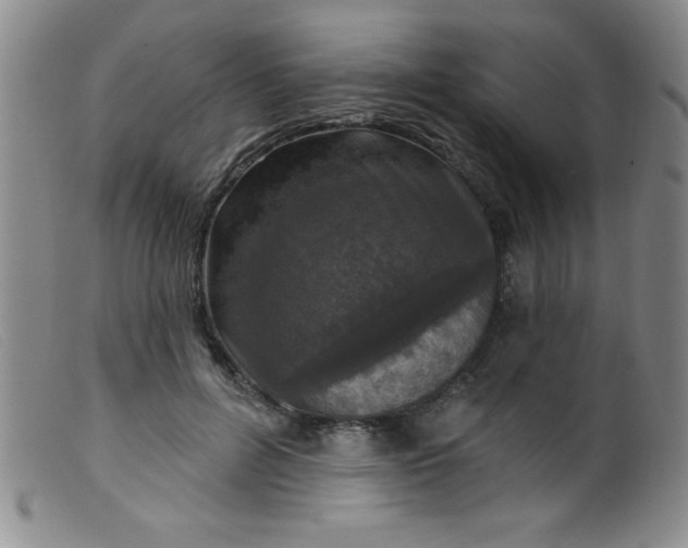X0000099480600200805231857
