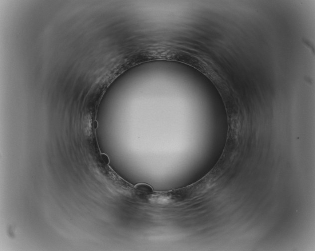 X0000099480602200805231857