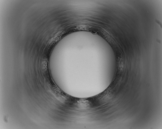 X0000099480603200805231857