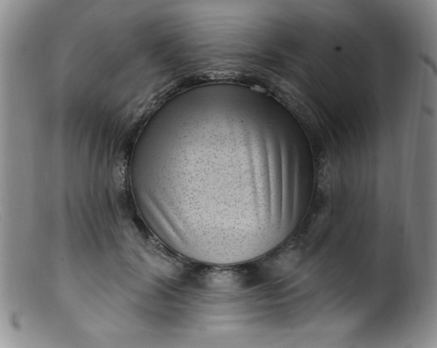 X0000099480604200805231857