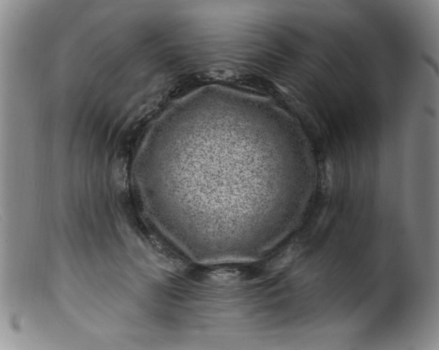 X0000099480606200805231857