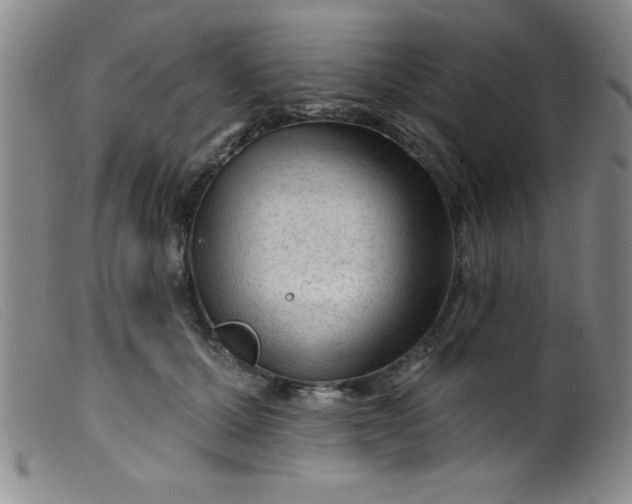 X0000099480607200805231857