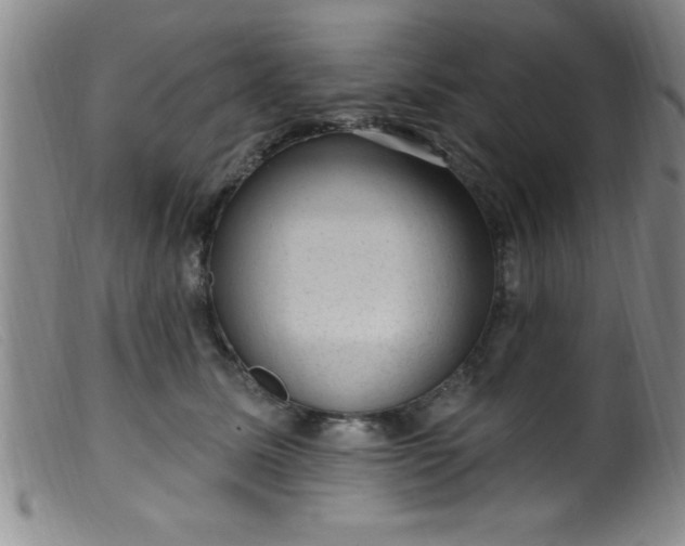 X0000099480611200805231857