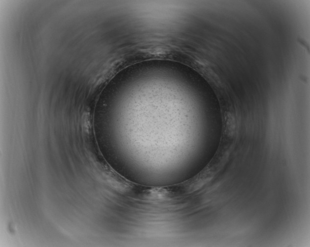 X0000099480612200805231857
