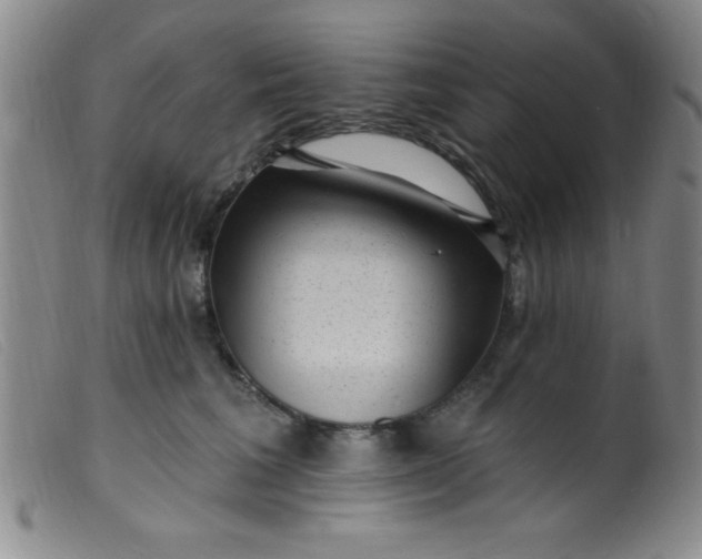 X0000099480613200805231857