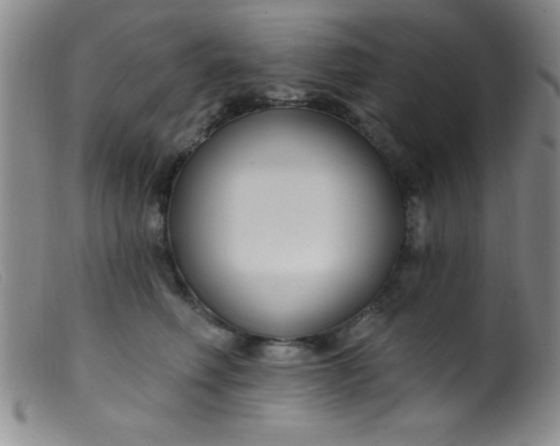 X0000099480614200805231857