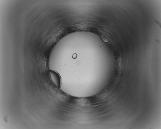 X0000099480615200805231857
