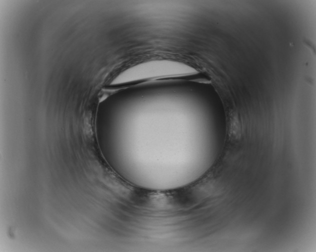 X0000099480616200805231857