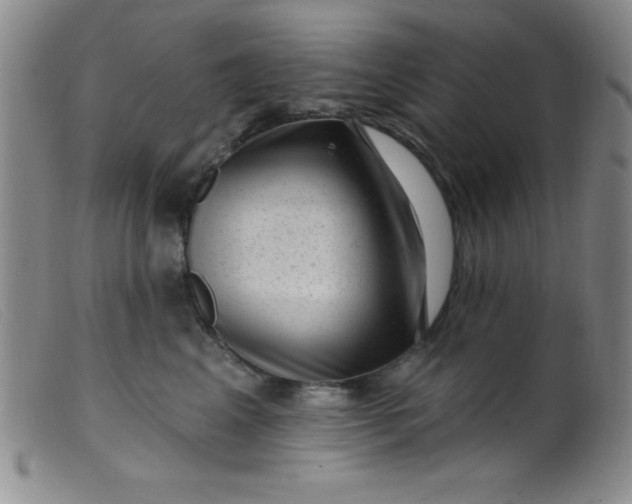 X0000099480617200805231857
