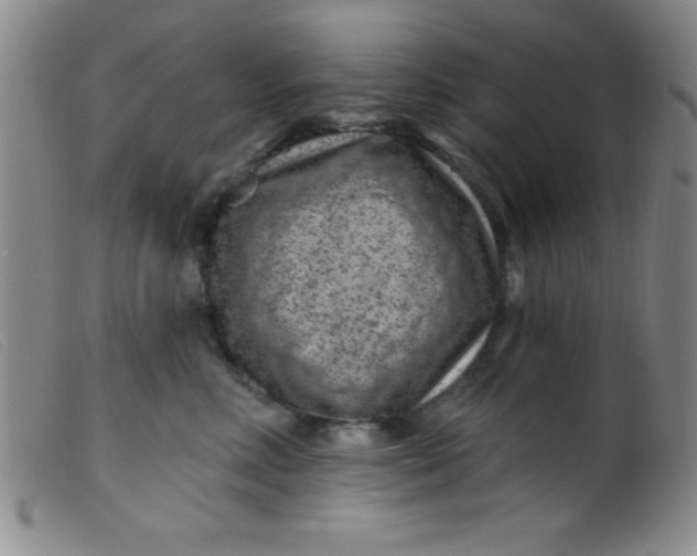 X0000099480618200805231857