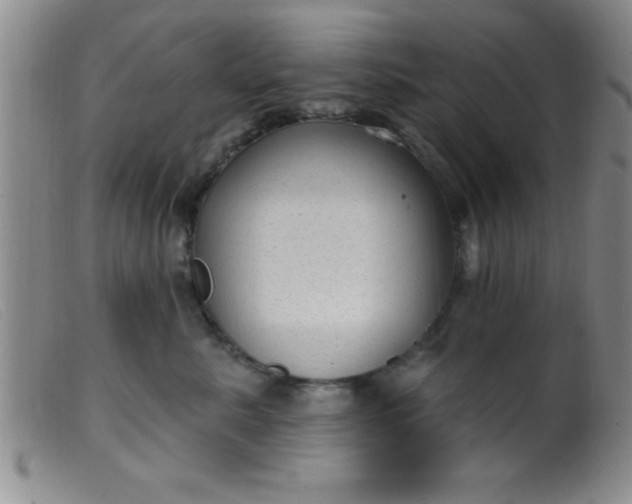 X0000099480619200805231857