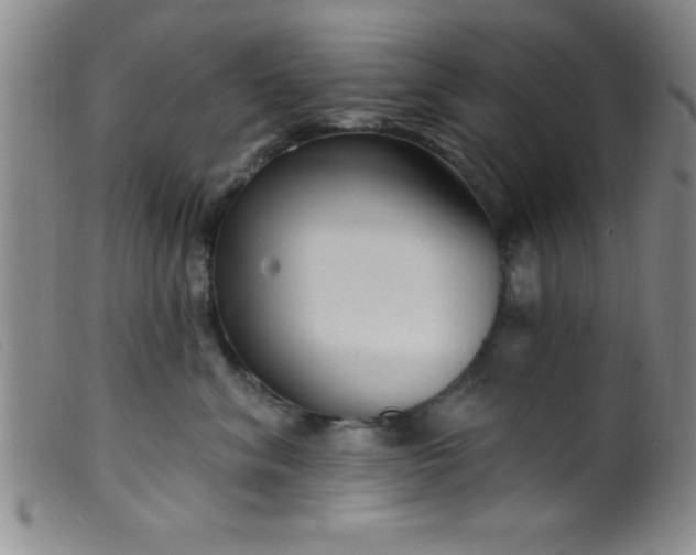 X0000099480620200805231857