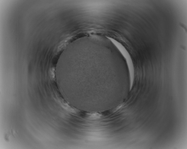 X0000099480621200805231857