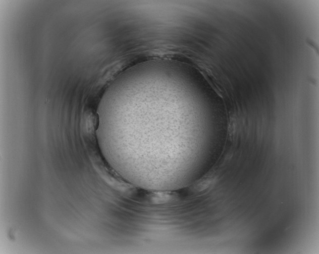 X0000099480623200805231857