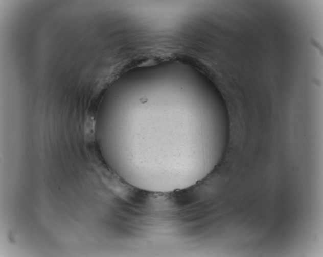 X0000099480624200805231857
