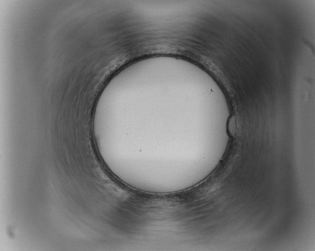 X0000099480625200805231856