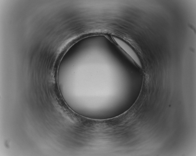 X0000099480628200805231856