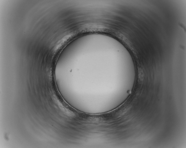 X0000099480629200805231856