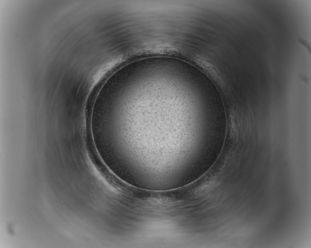 X0000099480630200805231856