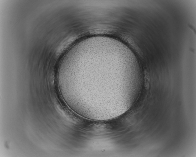 X0000099480631200805231856
