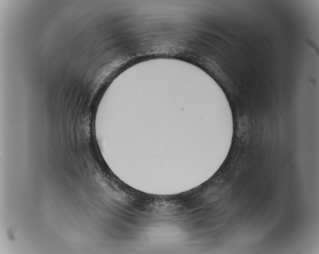 X0000099480632200805231856