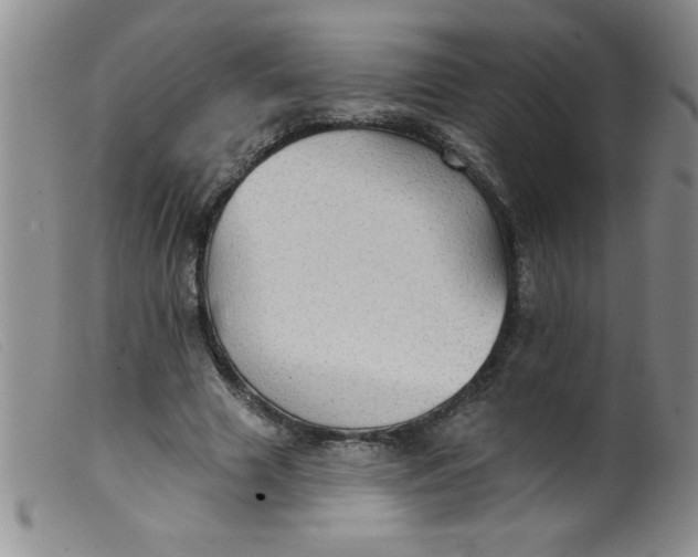 X0000099480633200805231856