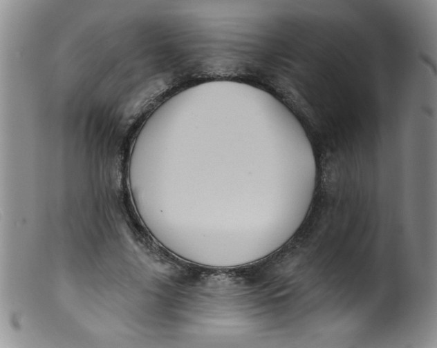 X0000099480635200805231856
