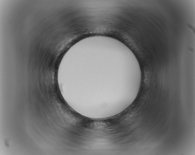 X0000099480636200805231856