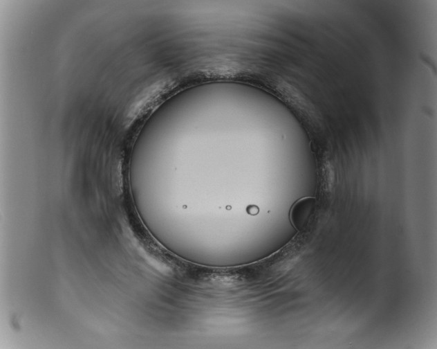 X0000099480638200805231856