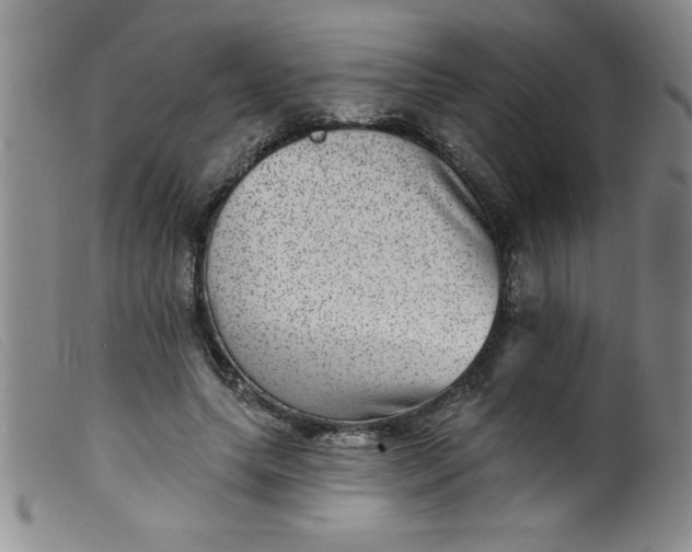 X0000099480639200805231856