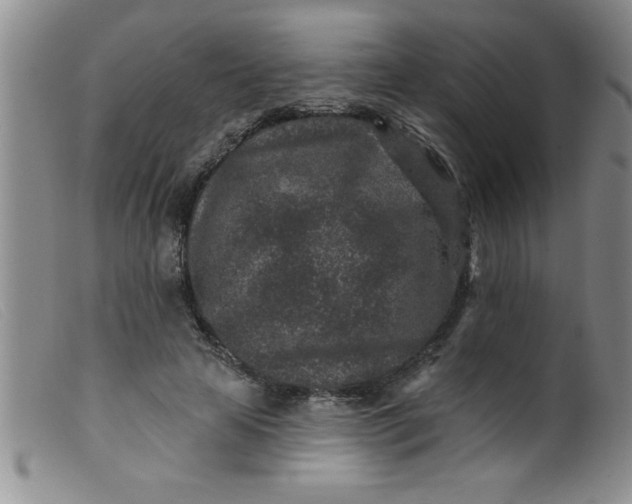 X0000099480641200805231856