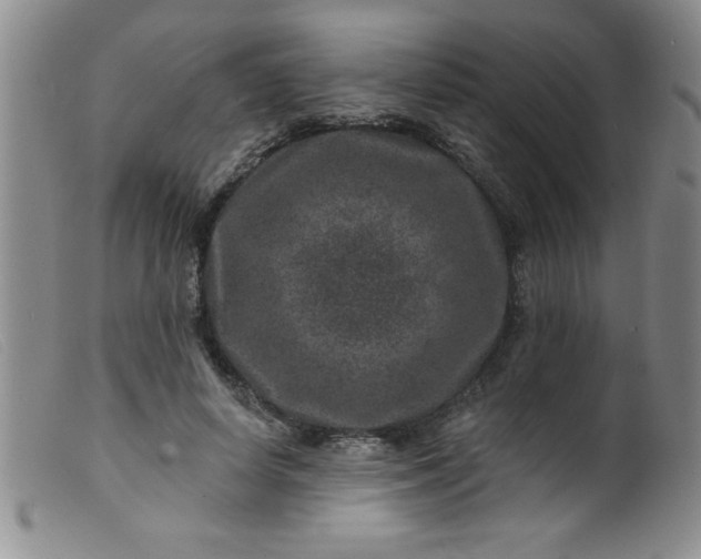 X0000099480642200805231857