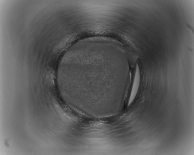 X0000099480643200805231857