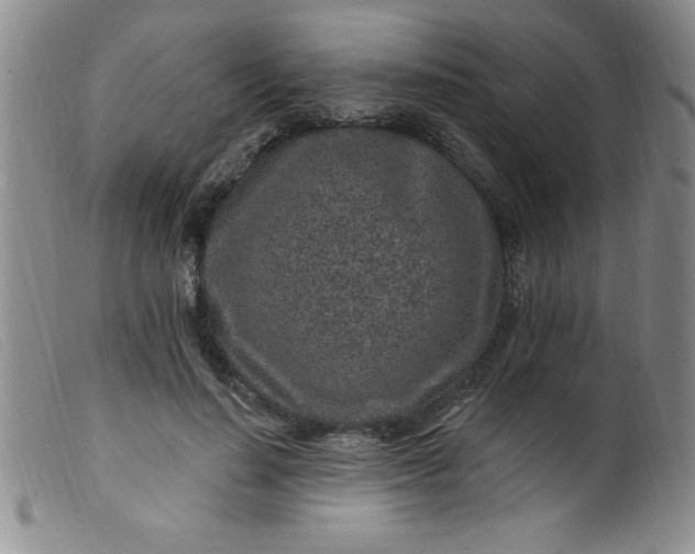 X0000099480644200805231857