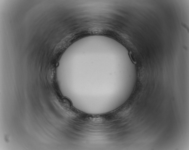 X0000099480645200805231857