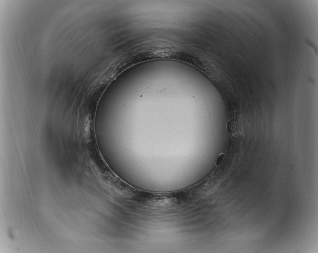 X0000099480646200805231857