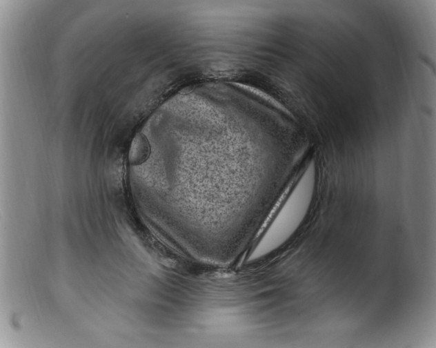 X0000099480647200805231857