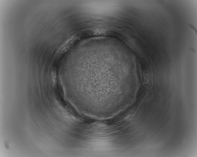 X0000099480648200805231857