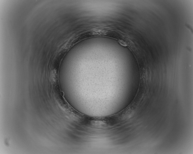 X0000099480649200805231857