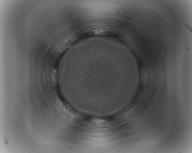 X0000099480650200805231857